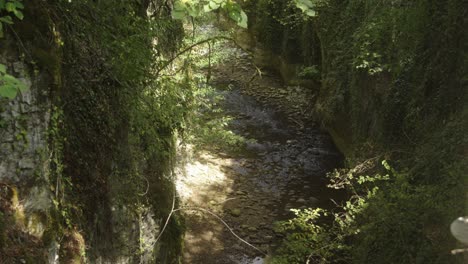 Shot-from-above-of-a-small-river-in-a-green-forest-with-quiet-gray-stones