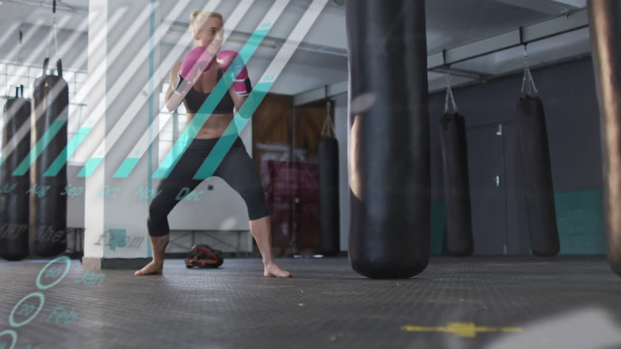 카우카스 여성 권투에 대한 그래프 및 데이터 처리의 애니메이션