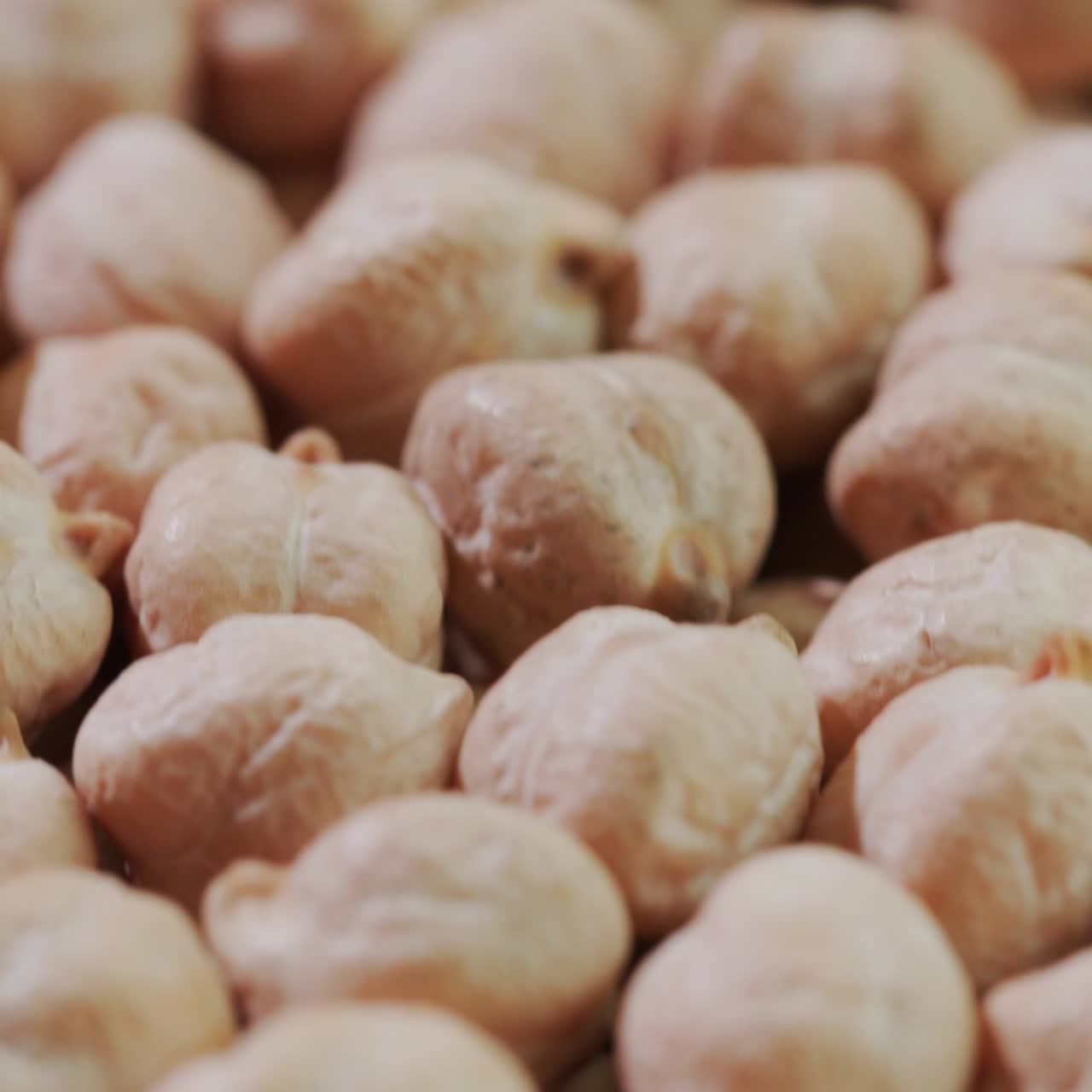 병아리 콩 곡물 1