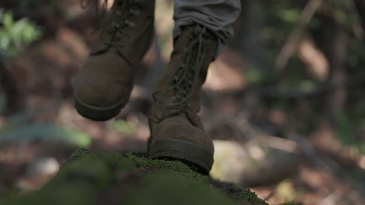 Hombre adulto explora el bosque, caminando sobre un árbol caído.