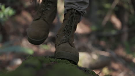 Adult-male-explores-forest,-walking-across-a-fallen-tree