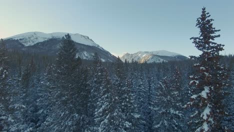 booming up over snow covered pine trees revealing snowcapped rocky mountains