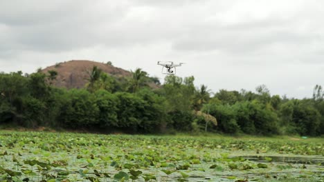 Tracking-Aufnahme-Eines-Drohnen-Quadrocopters,-Der-Während-Eines-Bewölkten-Tages-In-Indien-über-Einen-See-Mit-Seerosen-Fliegt