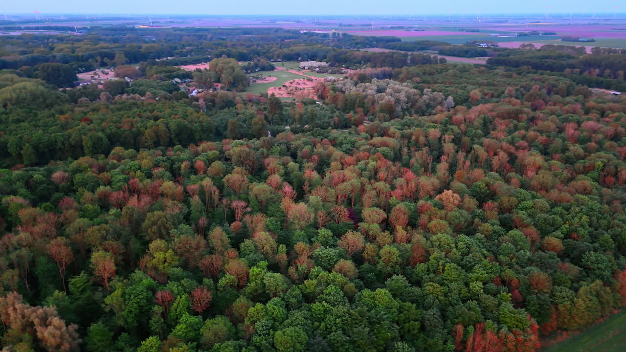 Forest landscape during autumn twilight. Colorful trees transition from green to warm hues as dusk settles over a serene forest landscape