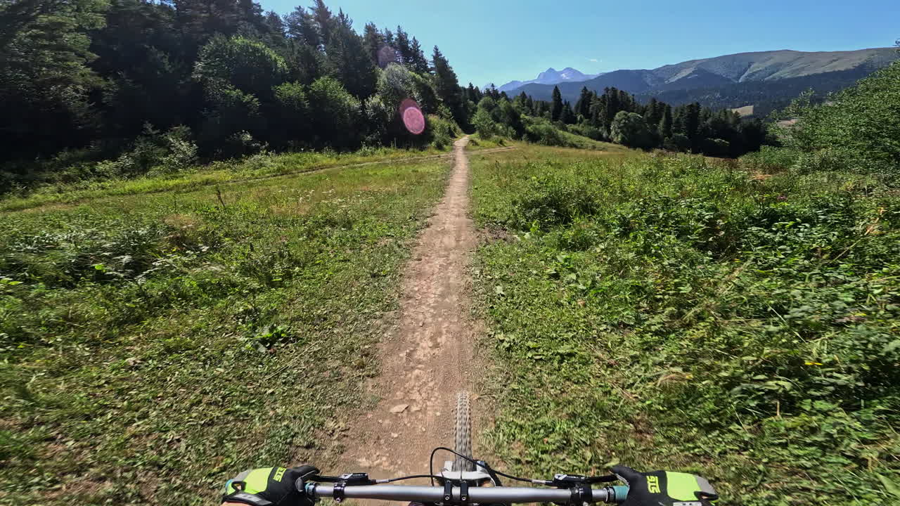 Visão em Primeira Pessoa de Mountain Bike em uma Trilha Florestal Ensolarada