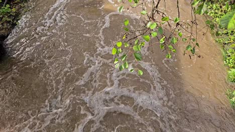 The-raging-river-after-heavy-rain