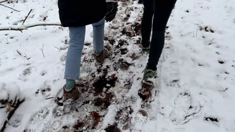 top down shot of people walking on snowy and muddy rural path in forest