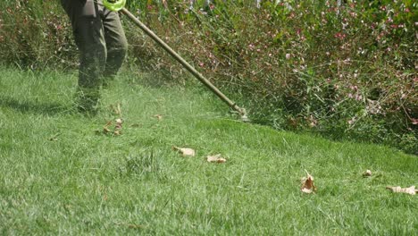 person using a string trimmer to cut grass