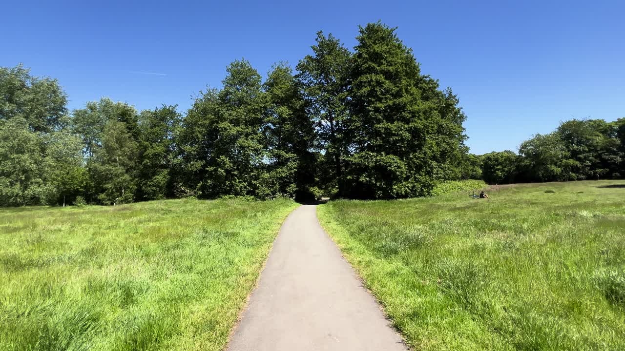 Empty Lush Green Park with Pathway