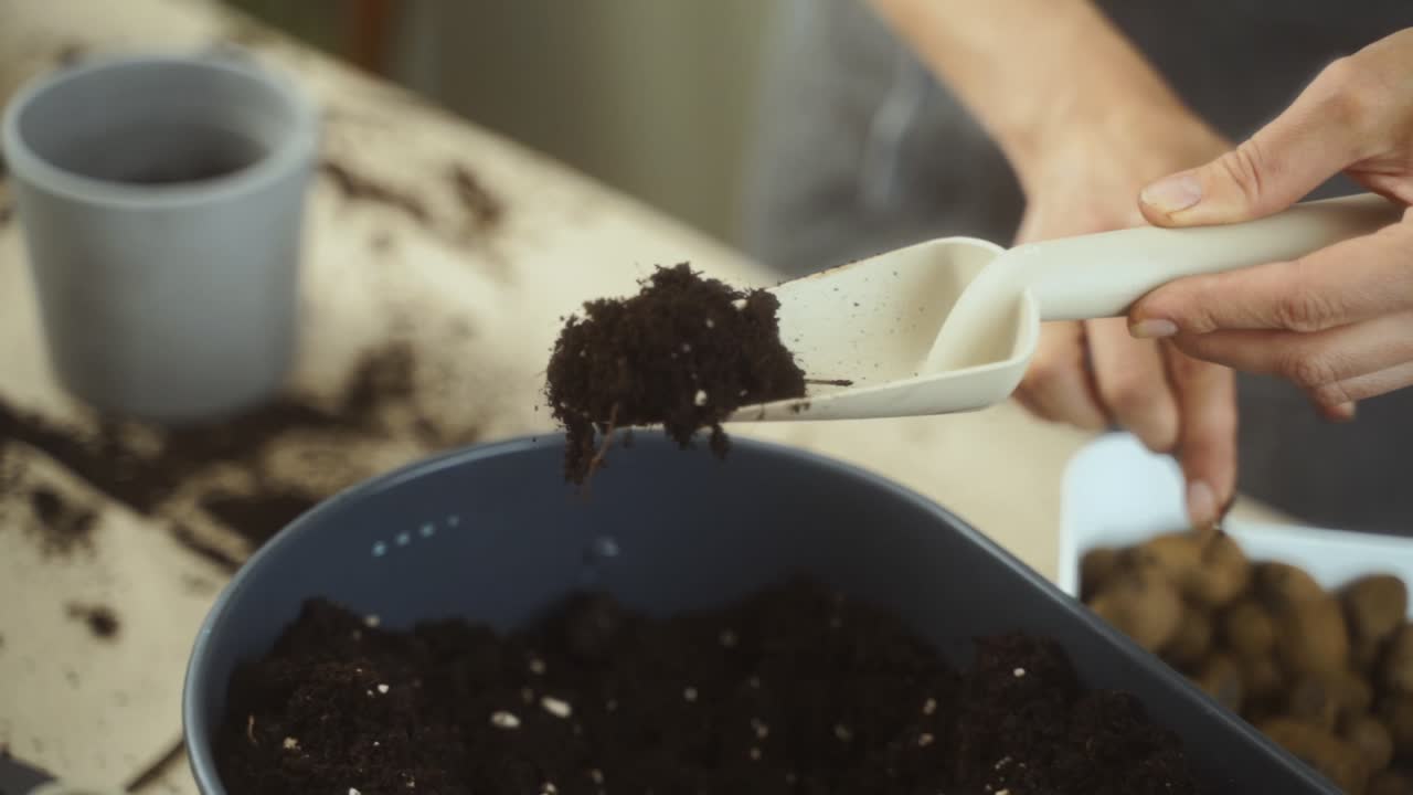 Donna in primo piano che si prepara a trapiantare una pianta succulenta