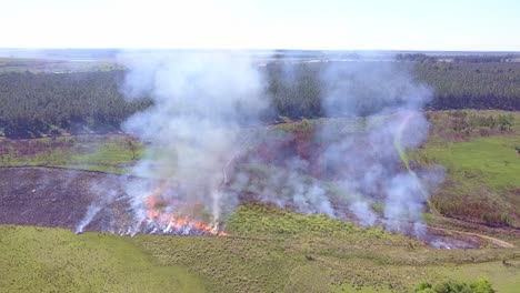 controlled fires in grazing field