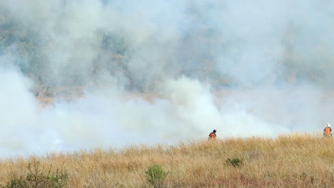 white smoke rises from planned firebreak burn as firefighters check fireline