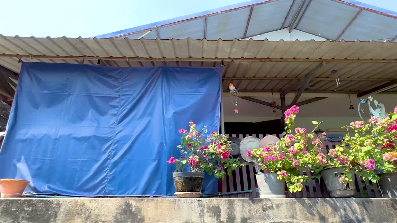 다채로운 꽃 이 있는 열대 집