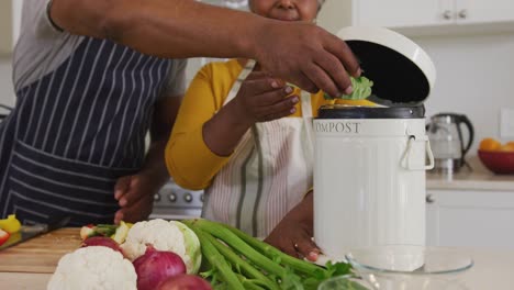 African-american-senior-couple-putting-chopped-vegetables-in-a-tiffin-box-in-the-kitchen-at-home