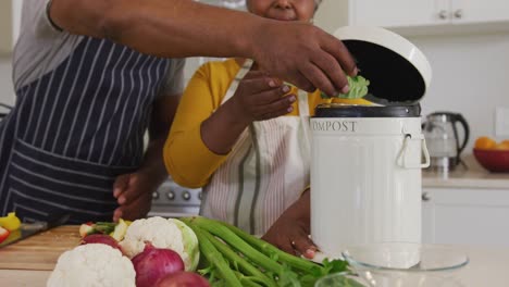 pareja de ancianos afroamericanos poniendo verduras picadas en una caja de tiffin en la cocina en casa