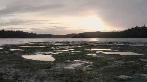 drone shot at low tide in an estuary on vancouver island, british columbia
