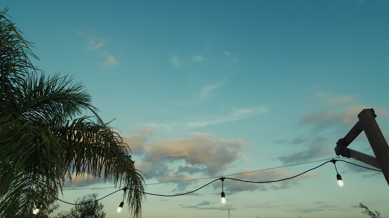 Luci per una festa all'aperto in un giardino in Calabria durante l'ora blu al tramonto, natura