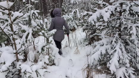 young person holding saw while walking on snowy forest, back view