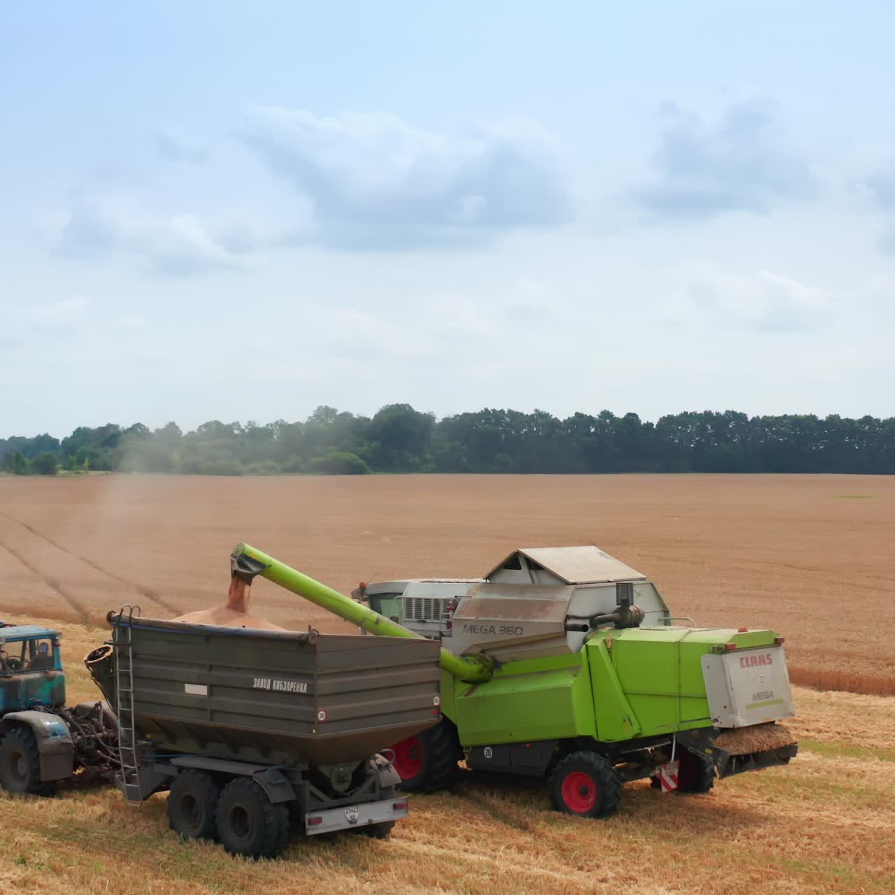 Farmland wheat harvesting by big combine. Combine harvesting on the field of yellow cereals