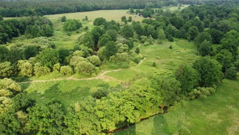 aerial landscape shot with meandering river under trees