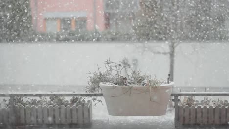 una tormenta de nieve envuelve ollas de flores en la barandilla de la terraza, con una casa y árboles en el fondo