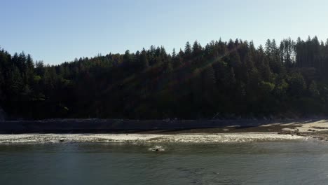 stunning dolly out aerial drone shot of the gorgeous third beach in forks, washington with a forest or large green pine trees on cliffs and golden sand on a warm sunny summer morning.