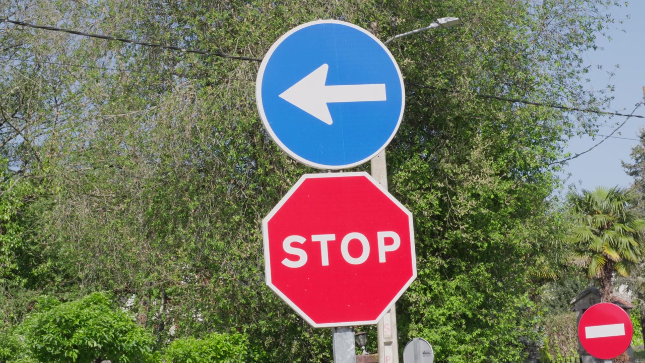 Primo piano di un segnale di stop e di un segnale stradale di svolta a sinistra all'aperto, con alberi verdi e rigogliosi sullo sfondo, fotografato in pieno giorno senza persone, ideale per concetti di traffico.