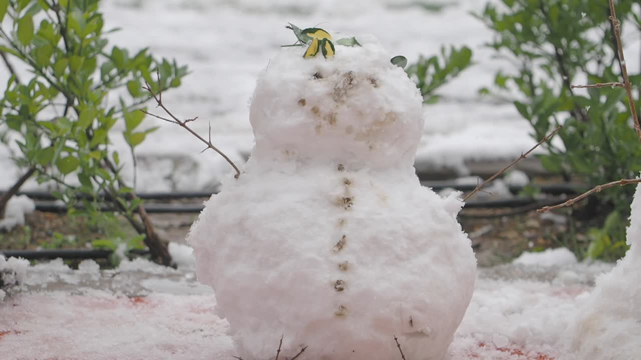 Un muñeco de nieve en la nieve