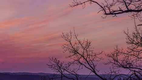 Orange-sky-at-sunset-and-the-silhouette-of-a-tree-branch-in-a-timelapse-shot