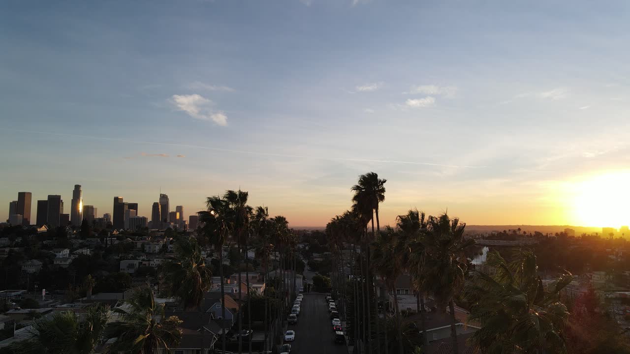 Bella strada fiancheggiata da palme a Los Angeles.