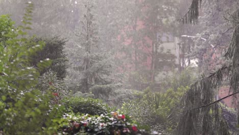 static view with rack focus of heavy rain fall in trees in a suburban area with buildings in the background of the park