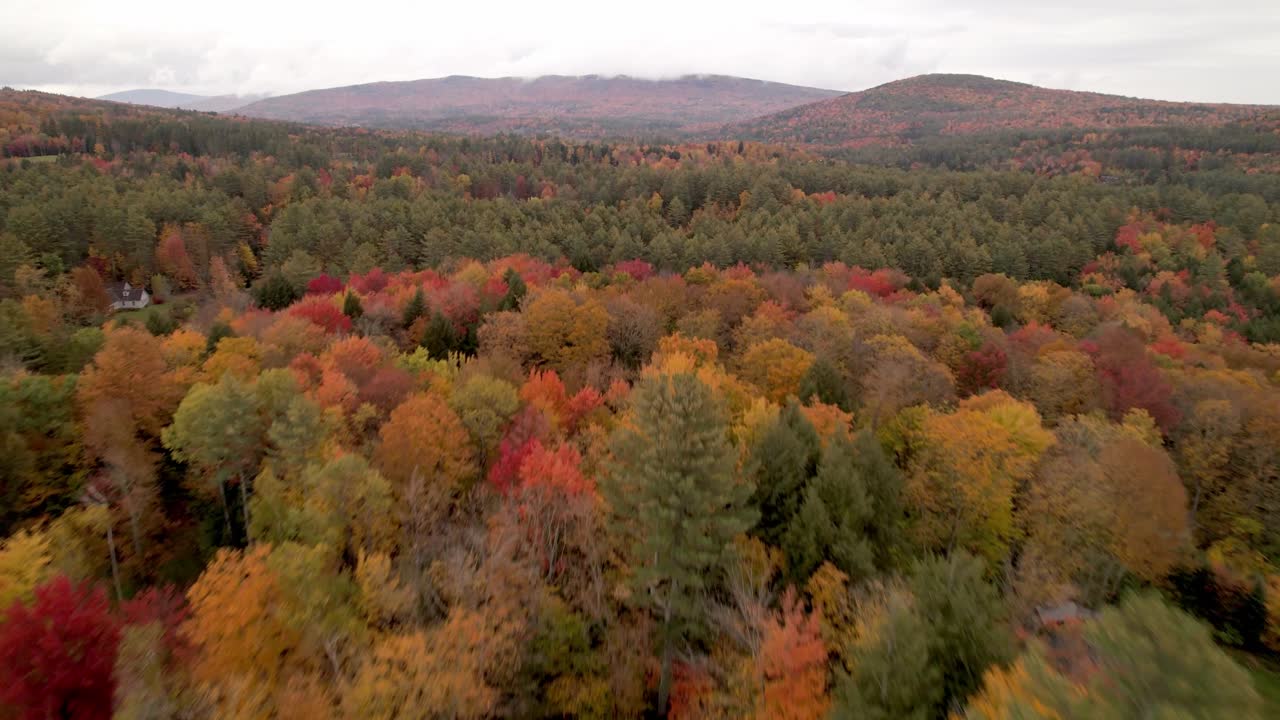 el otoño y las hojas de otoño empujan sobre las coloridas copas de los árboles en londonderry vermont