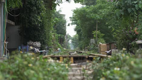 Famous-empty-Train-Street-with-plants-and-vegetation-in-Old-Quarter-in-Hanoi,-Vietnam
