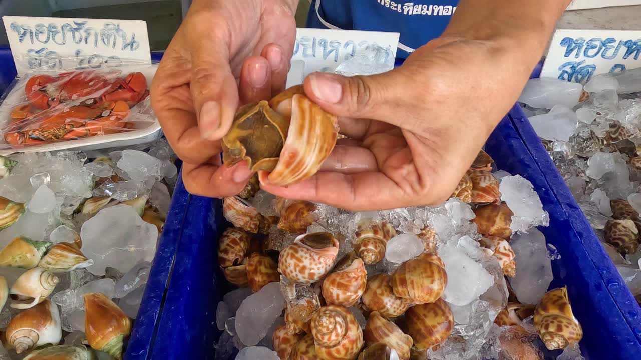 Hands shucking shellfish at a seafood market