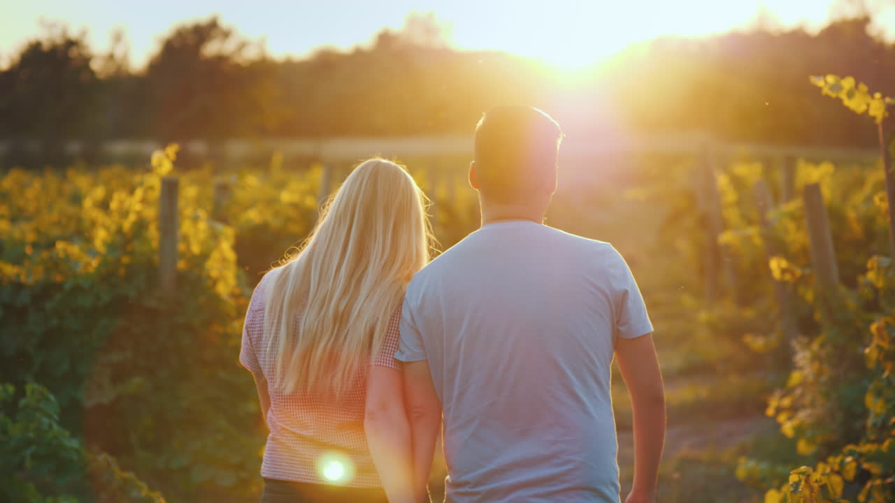 포도원 와인 시음 및 관광 개념 4k 비디오에서 걷는 행복한 다민족 커플