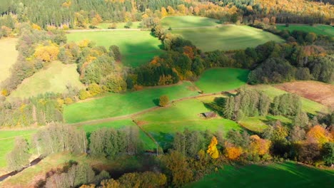 Vista-Aérea-De-Drones-Del-Bosque-De-Follaje-Otoñal