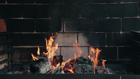 close up flames rise from wood fire inside dark brick grill glowing with heat