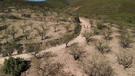 aerial view of two girls hiking along a dirt road between almond trees