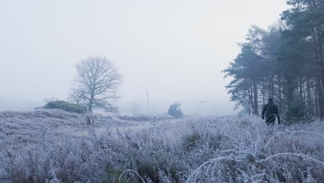 frosty winter landscape with person