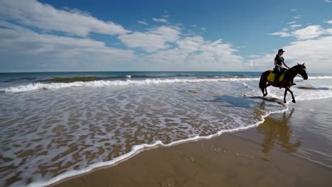 woman horseback riding on beach