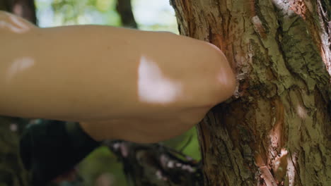 close up of sunlit pine bark receiving rapid palm strikes from muscular soldier in blurred green forest backdrop dynamic blurred fist motion captures energy resilience against rugged wooden surface