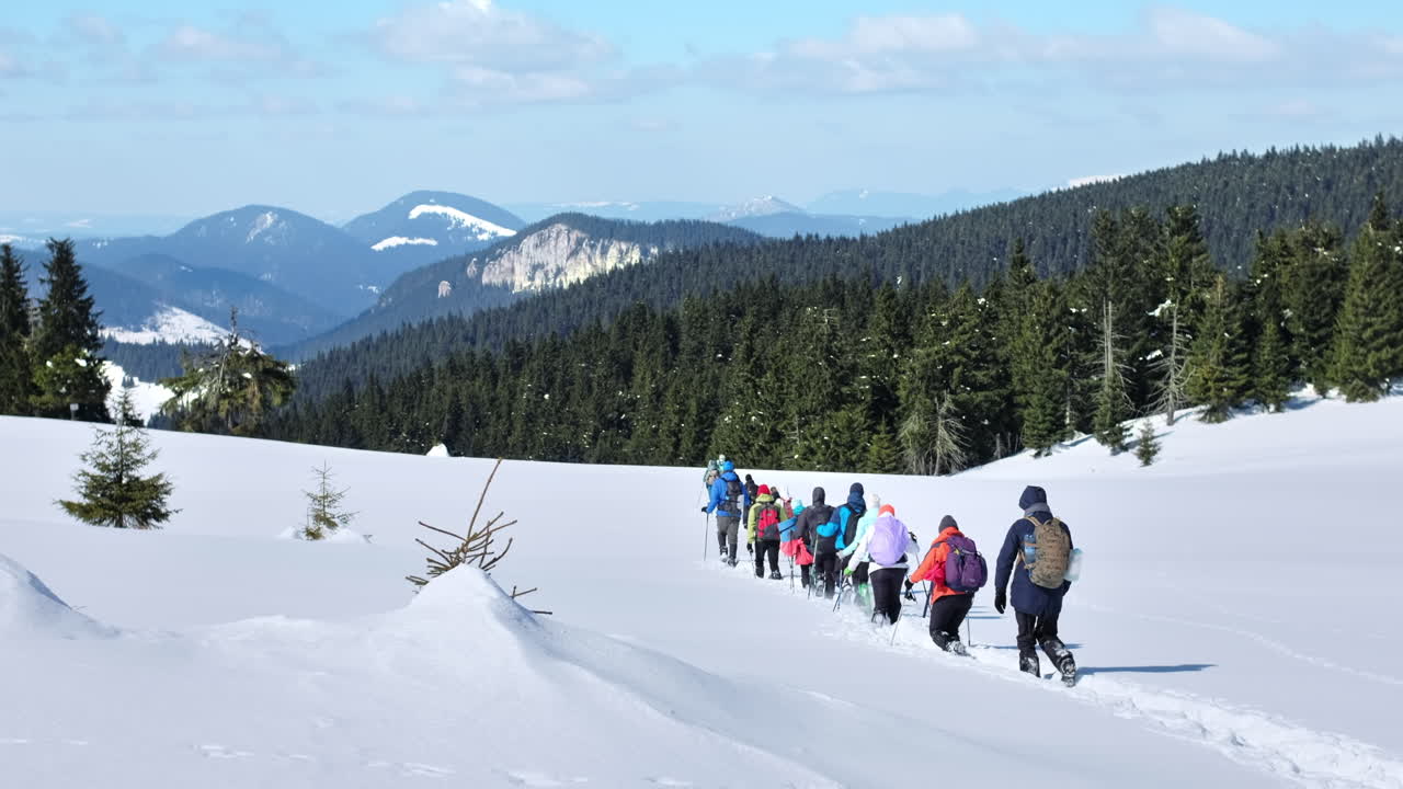 Escursione invernale sui Carpazi, Romania. Un gruppo di persone con zaini e bastoncini da sci che si arrampica. Foresta innevata