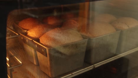 freshly baked whole wheat bread in oven