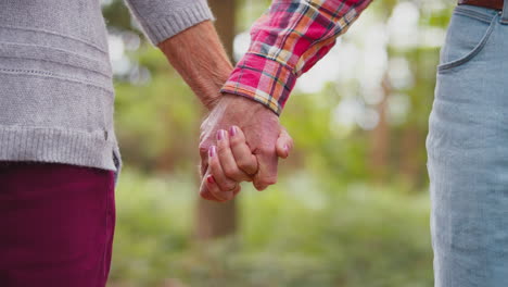 close up of loving retired senior couple holding hands hiking in woodland countryside together