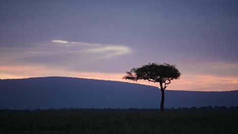 Hermoso-Paisaje-Puesta-De-Sol-Antes-Del-Anochecer-Con-Un-árbol-De-Acacia-Aislado-En-El-Horizonte-Naturaleza-Africana-En-La-Reserva-Nacional-De-Masai-Mara,-Kenia,-Paisaje-De-Safari-De-áfrica-En-La-Conservación-Del-Norte-De-Masai-Mara