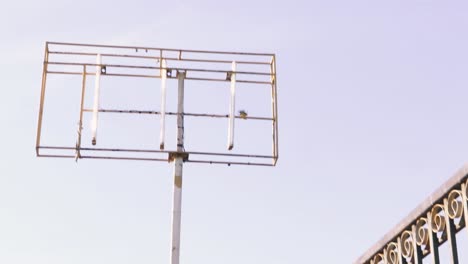 Un-Pájaro-Posado-En-Un-Marco-De-Metal-De-Un-Viejo-Cartel-Publicitario-En-Ruinas,-Un-Sonido-Que-Sorprende-Al-Pájaro-Y-Hace-Que-Vuele-Por-El-Aire,-Calzada-De-Amador,-Ciudad-De-Panamá