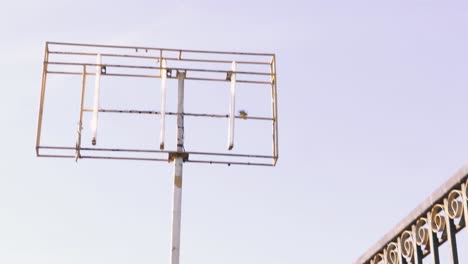 un pájaro posado en un marco de metal de un viejo cartel publicitario en ruinas, un sonido que sorprende al pájaro y hace que vuele por el aire, calzada de amador, ciudad de panamá