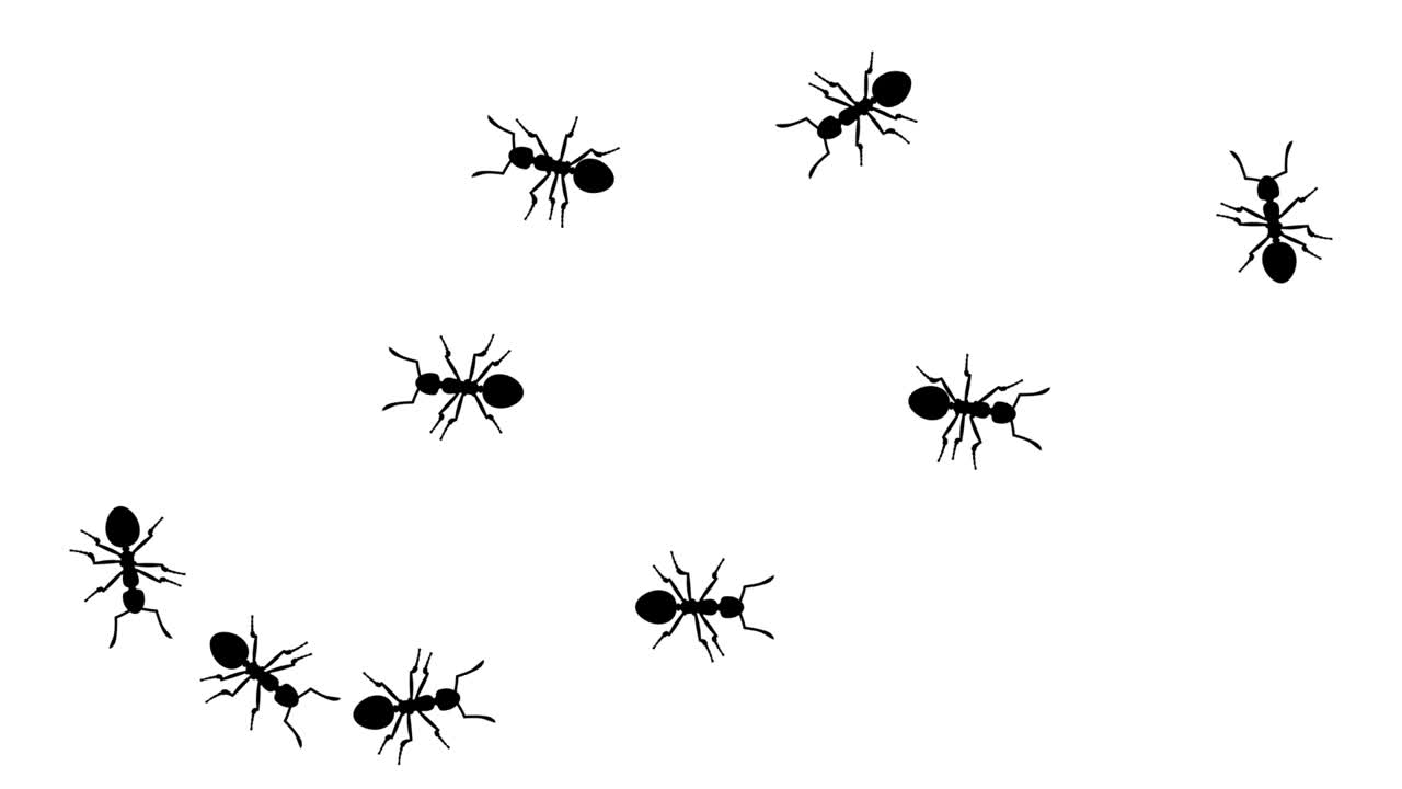 Swarm of ants, CG animated silhouettes on white, seamless loop