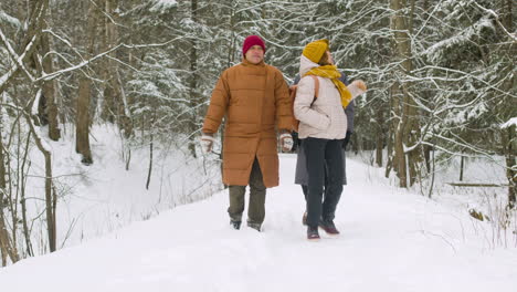 front view of three friends in winter clothes walking and talking, pointing something in a winter forest 1