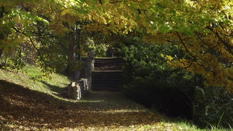 Static-shot-of-park-alley-in-Chorzow,-Poland-with-trees-and-falling-leaves-on-sunny-autumn-day